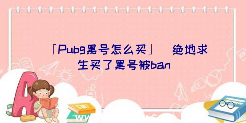 「Pubg黑号怎么买」|绝地求生买了黑号被ban